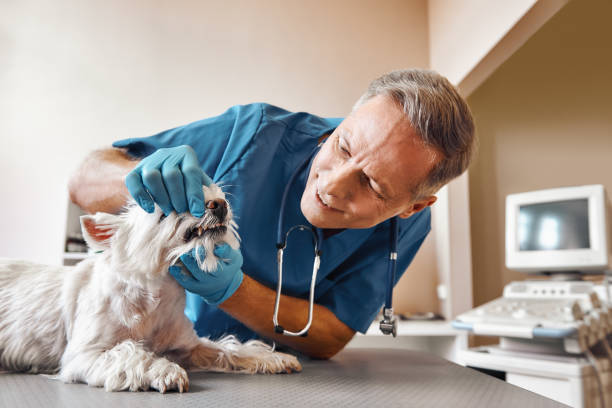 Best Emergency Root Canal Therapy in La Grange, KY